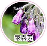 賀多利多乘激活保濕噴霧 玻尿酸保溼精華 尿囊素