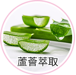 賀多利多乘激活保濕噴霧 玻尿酸保溼精華 蘆薈