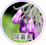 賀多利多乘激活舒敏噴霧 尿囊素