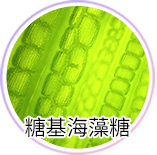 賀多利多乘激活舒敏噴霧 糖基海藻糖