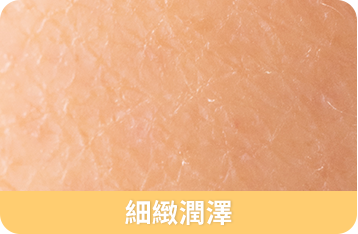 賀多利多乘激活舒敏噴霧 積雪草舒敏精華  細緻潤澤