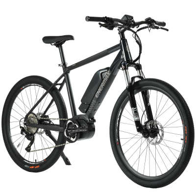 ENERMAX MaxWaver Lusitano 電動輔助登山車