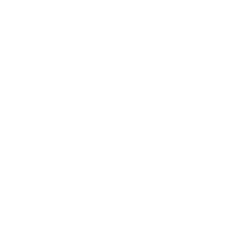 SHIMANO 7速變速器
